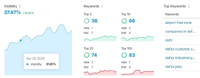 DAFZ SEO visibility dashboard